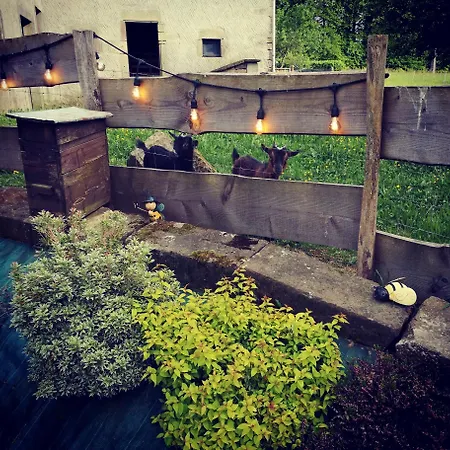 Gite De Charme : A La Volette Plombières-les-Bains Exterior foto