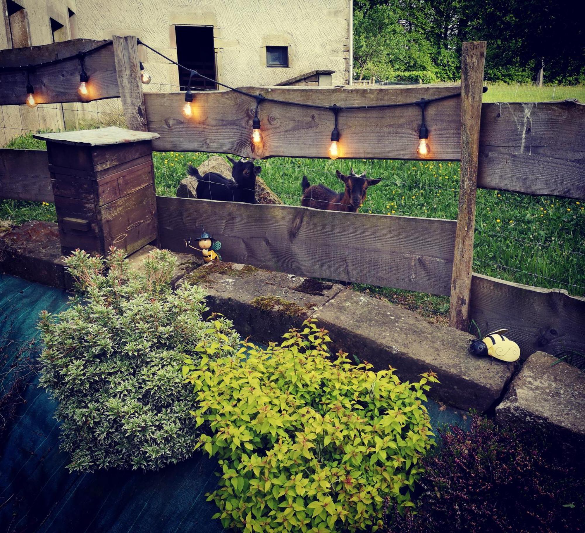 De Charme : A La Volette * Plombieres-les-Bains